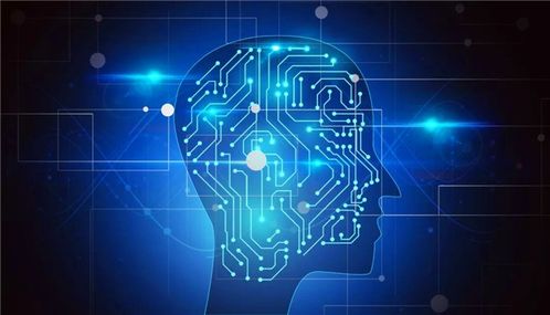 計(jì)算機(jī)軟件開發(fā) 政策東風(fēng)下的熱門之選與未來展望